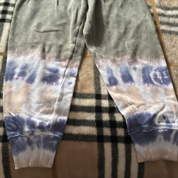 Aerie Sweatpants - Picture 4 of 4